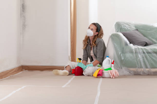 Reliable Commercial Mold Remediation contractor in Stevensville, MI by WQB Mold Removal